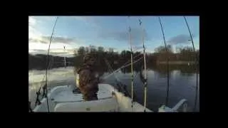 Jigging For Stripers In March at Smith Mountain Lake