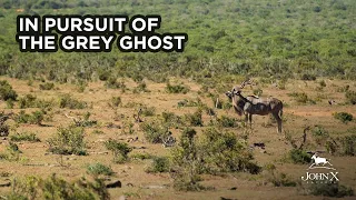 In pursuit of the Grey Ghost | John X Safaris