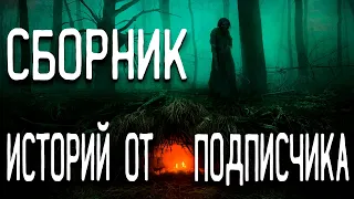 СТРАШНЫЕ ИСТОРИИ НА НОЧЬ / СТРАШНЫЕ ИСТОРИИ ПРО ДЕРЕВНЮ / СТРАШНЫЕ ИСТОРИИ ПРО ВЕДЬМ / ЛЕС