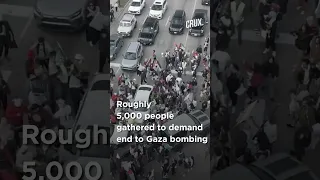 Car Drives Through Pro-Palestine Rally in US