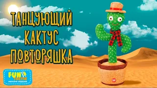 Обзор на ТАНЦУЮЩИЙ КАКТУС!