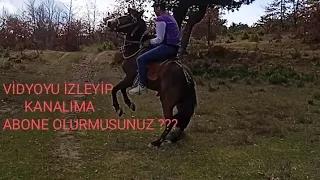 #keşfet Yadigar bryin soruma cevap verişi işte vidyoda!!!