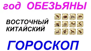 Год Обезьяны. Восточный гороскоп от психолога Натальи Кучеренко.