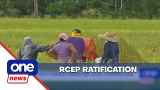 Senate ratifies RCEP