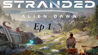 Ep 1 Stranded Alien Dawn