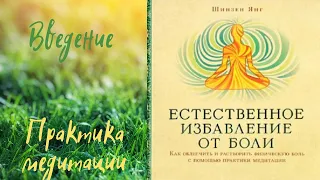 📗Естественное Избавление От Боли📖Введение.📖Практика Медитации