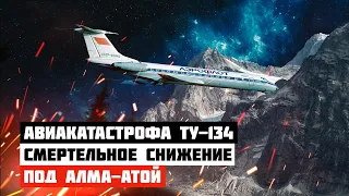 Самолет врезался в гору. Авиакатастрофа Ту-134 под Алма-Атой