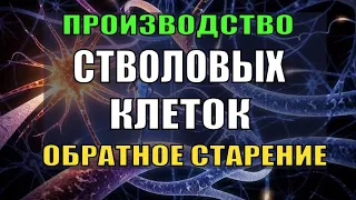 Квантовое Омоложение_Создание СТВОЛОВЫХ КЛЕТОК_Регенерация_Исцеление звуком (волны Шумана)