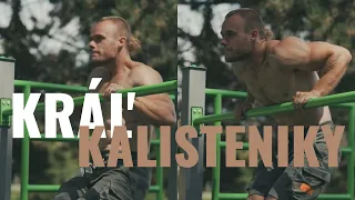 KRÁL KALISTENIKY - MUSCLE UP !