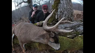 Kodiak Island, Black- Tailed Deer Hunting with Fox & Otter Trapping !!