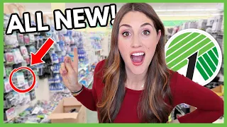 ALL NEW Dollar Tree Hidden Gems