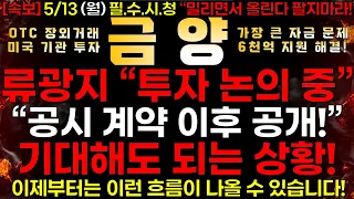[금양] 5/13 (월) 류광지 회장 "투자 논의 중!" 공시 계약 이후 공개