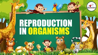 Reproduction in Organisms I Lecture 4 l Biology l NEET