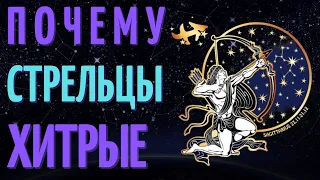 СТРЕЛЬЦЫ САМЫЙ ХИТРЫЙ ЗНАК ЗОДИАКА? ТОП 7 ПРИЧИН!