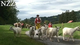 Planet Appenzell mit Simon Enzler - Dokumentation von NZZ Format (2006)