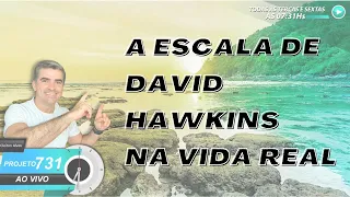 A ESCALA DE DAVID HAWKINS NA VIDA REAL | PROJETO 731