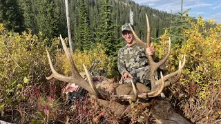 Idaho Archery Elk Hunt SOLO - Stuck N the Rut 141