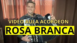 Rosa branca vídeo aula acordeon