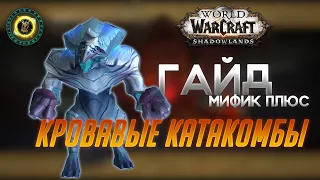 КАК ЗАТАЙМИТЬ КРОВАВЫЕ КАТАКОМБЫ?? || ФИШКИ ПРОХОЖДЕНИЯ || World Of Warcraft