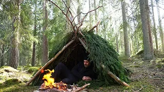 24h Bushcraft With One Tool - Survival - Natural Shelter - Foraging