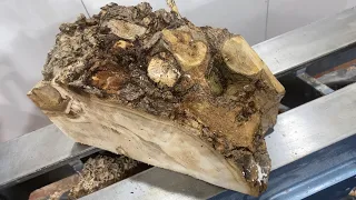 Woodturning - A Root Burl