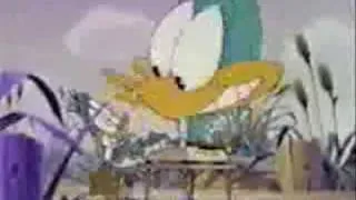 Tiny Toon Adventures Intro (Arabic)