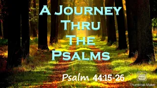 A Journey Through The Psalms (Psalm 44:15-26) For Thy Sake We Are Killed, Sheep For The Slaughter