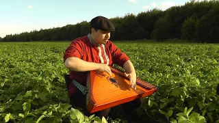 Виктор Цой Кино Кукушка Группа Крови Перемен Гусли / Гусляр Андрей Андреев