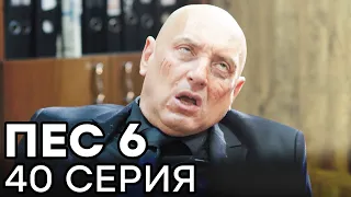 Сериал ПЕС 6 - 6 сезон - 40 серия - ФИНАЛ - ВСЕ СЕРИИ смотреть онлайн | СЕРИАЛЫ ICTV