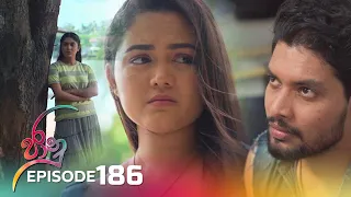 Jaanu | Episode 186 - (2023-11-09) | ITN