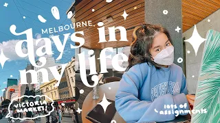 uni student life in melbourne vlog- victoria night market, assignments & food 🍣