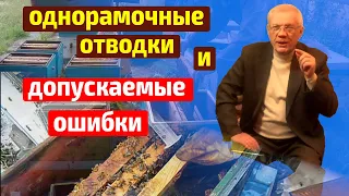 Отводок на одну рамку расплода Формирование отводков Нуклеусы для пчел Анатолий Стрелец