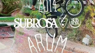 BMX Complete - 2014 Subrosa Arum