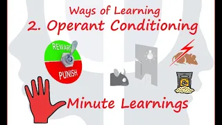 Learning - Operant Conditioning, Reinforcement, Reward Punishment, Skinner Box