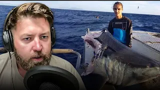 Wildlife Expert Reviews Possible Megalodon Proof