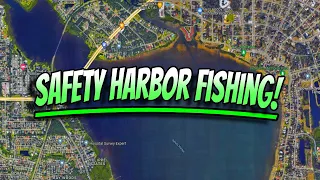 Fishing Safety Harbor: Tampa Bay