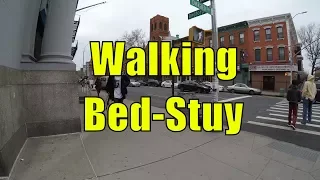 ⁴ᴷ Walking Tour of Bedford Stuyvesant (Bed-Stuy), Brooklyn, NYC