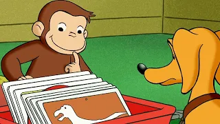 Georges le Petit Singe 🐵 La nouvelle collection de George 🐵 Dessins Animés