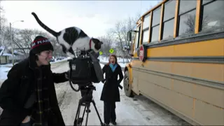 Cat jumps on cameraman