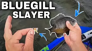 The ULTIMATE JIG For BLUEGILL Fishing In 2023‼️ BULLY BLUEGILL JIGS‼️