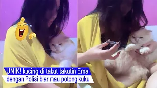 cats are scared of the POLICE until they stay quiet when cutting their nails/funny cats compilation