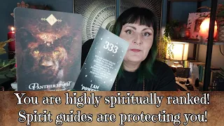 You are highly spiritually ranked, spirit guides are protecting you  - tarot reading