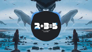 2+3=5 - T.R.I ft Cammie (C.A.O Mix)