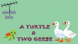 A Turtle & Two Geese  | Bedtime Stories | Short Stories