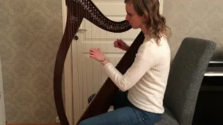 Mom Is Home (Rock'n'Roll Wolf) - harp cover