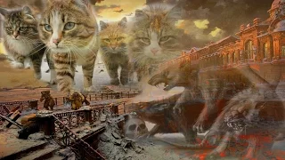 В блокадном Ленинграде:  Как кошки спасали людей