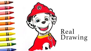 Marshal Paw Patrol Easy Drawing and Coloring for Kids and Toodlers | KIDS CHANNEL #802#CARTOON