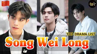 Song Wei Long 宋威龙 TOP Drama That You Must Watch 2020 | Chinese Actor Song WeiLong Best Drama List