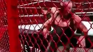 Roman Reigns vs Braun strowman at Hell in a Cell