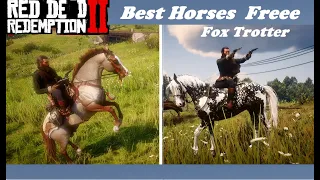 How to get Best Horse Free / Fox Trotter in Chapter 2